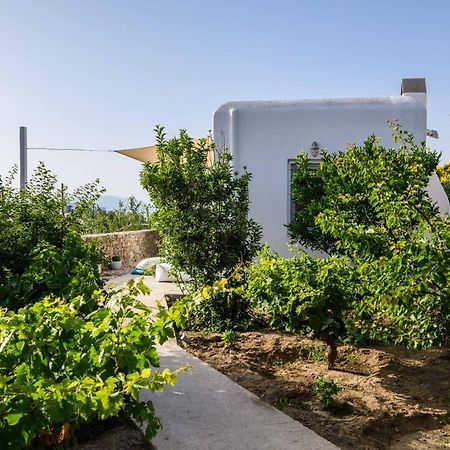 Live & Dream Villa Mykonos Town Bagian luar foto